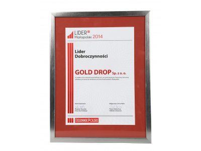 Gold Drop „Líder dobročinnosti 2014”