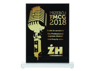The “FMCG Hit 2018” award for the Dix Professional express cleaner.