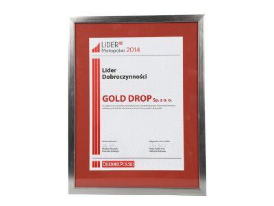 "Jótékonyságban Élenjáró 2014" a Gold Drop