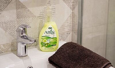 Attis - Toilet soap and air fresheners