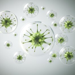 Jak pozbyć się wirusów, grzybów i bakterii?